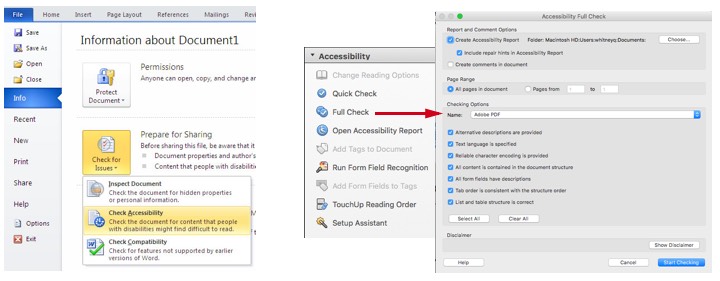 Screen shots of accessibility checking tools