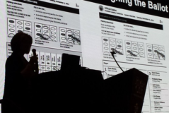 A person is outlined in shadow against a slide showing two ballots